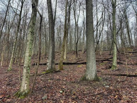 0 Bear Mountain Road Flemington WV 26347