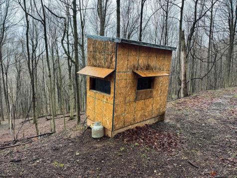 0 Bear Mountain Road Flemington WV 26347
