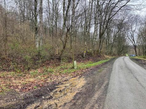 0 Bear Mountain Road Flemington WV 26347