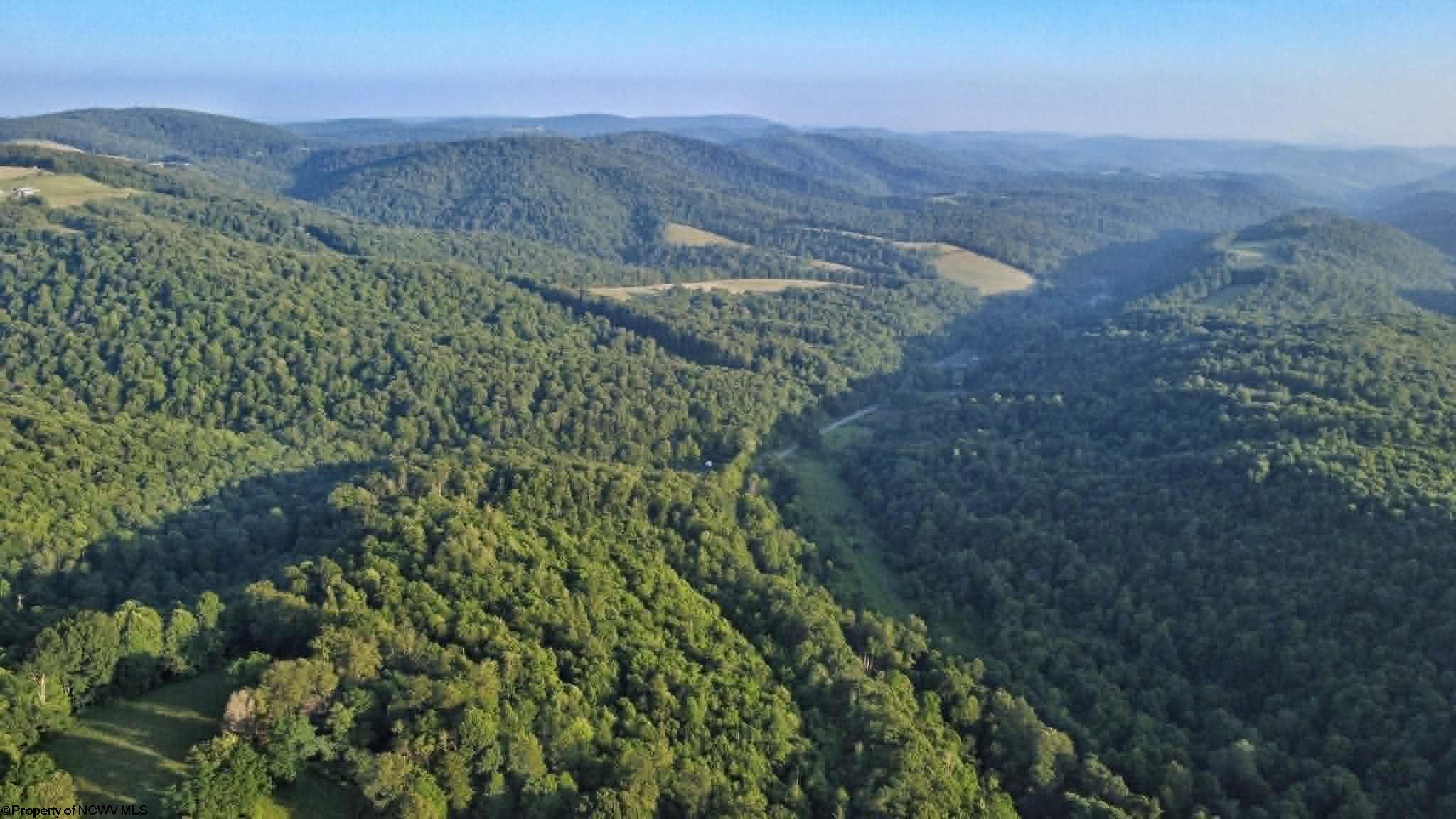 0 Saltlick Road Terra Alta WV 26764