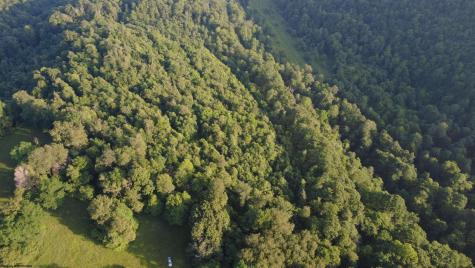 0 Saltlick Road Terra Alta WV 26764