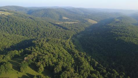 0 Saltlick Road Terra Alta WV 26764