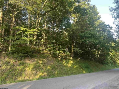 0 Saltlick Road Terra Alta WV 26764