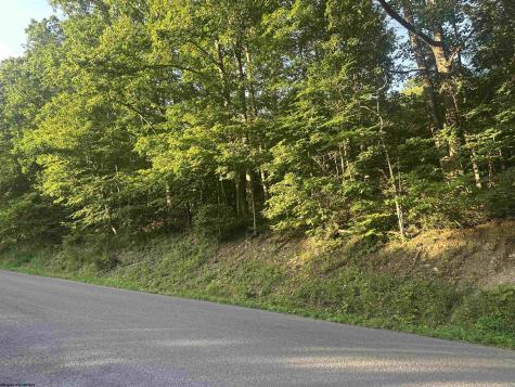 0 Saltlick Road Terra Alta WV 26764