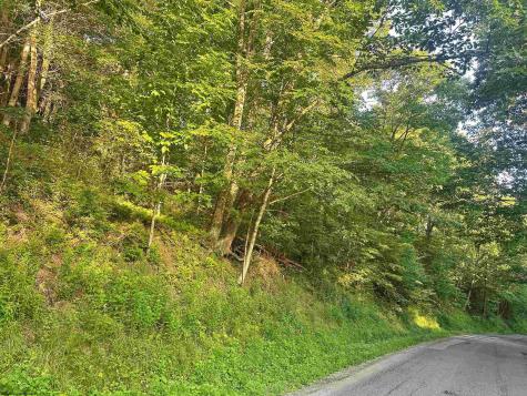 0 Saltlick Road Terra Alta WV 26764