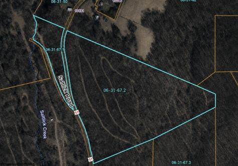 0 Saltlick Road Terra Alta WV 26764