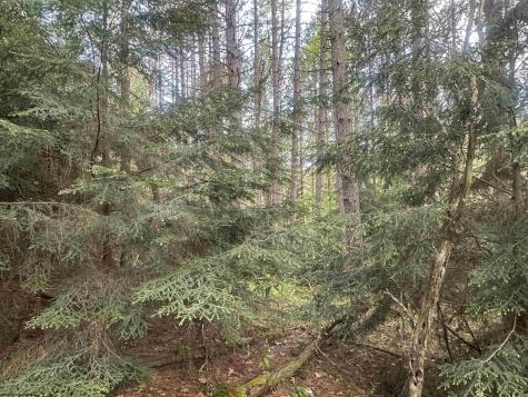 70 Monte Carlo Court Davis WV 26260
