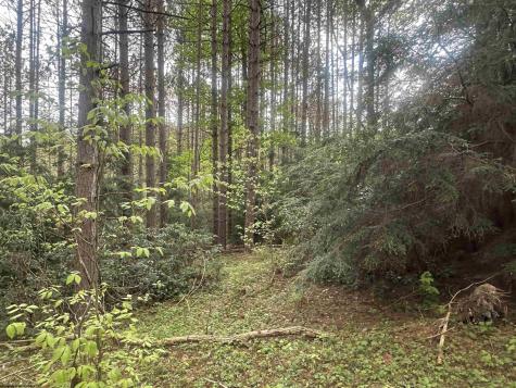 70 Monte Carlo Court Davis WV 26260