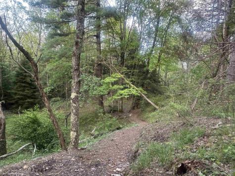 70 Monte Carlo Court Davis WV 26260