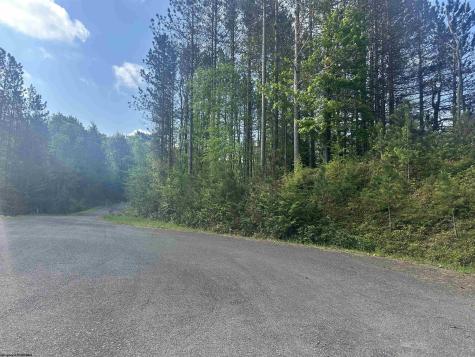 70 Monte Carlo Court Davis WV 26260