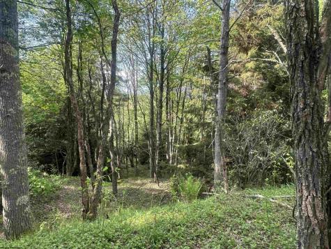 70 Monte Carlo Court Davis WV 26260