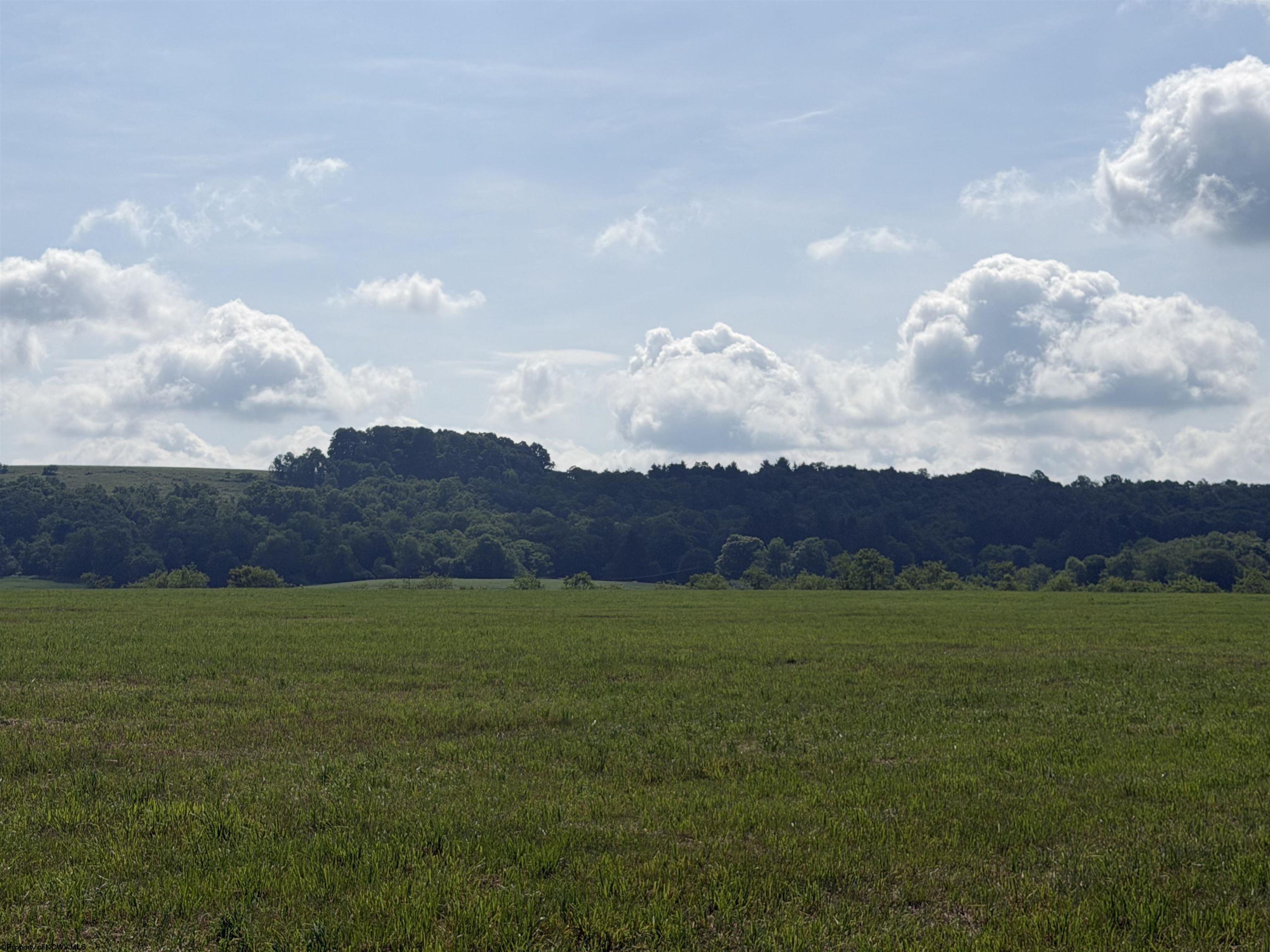 1 Clifton Salem Road Bruceton Mills WV 26525
