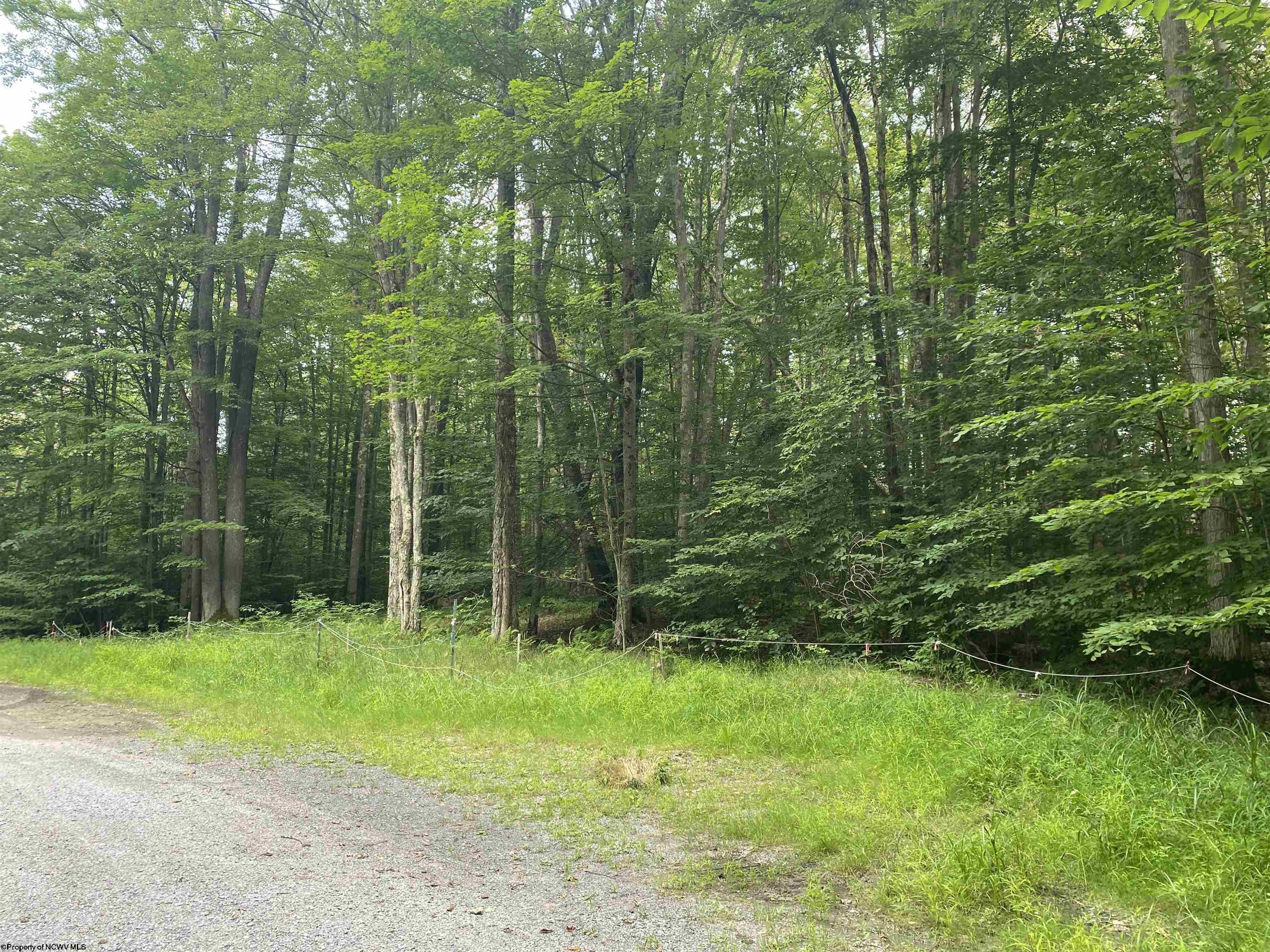 42 Bobcat Road Davis WV 26260
