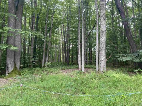 42 Bobcat Road Davis WV 26260