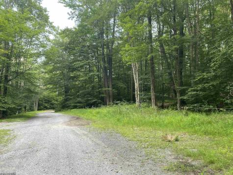 42 Bobcat Road Davis WV 26260