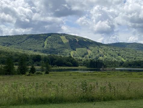 42 Bobcat Road Davis WV 26260