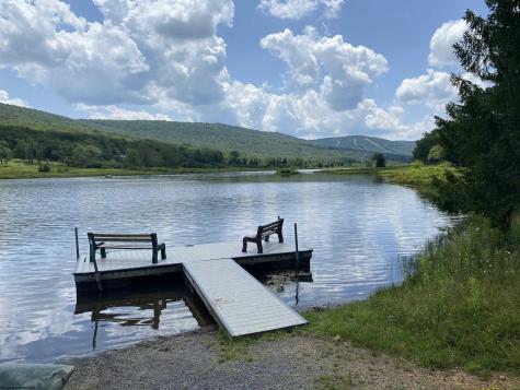 42 Bobcat Road Davis WV 26260