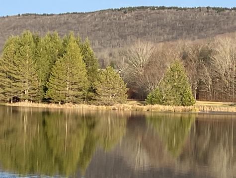 42 Bobcat Road Davis WV 26260