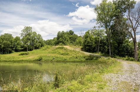 9 Lake Island Drive Belington WV 26250