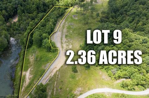 9 Lake Island Drive Belington WV 26250