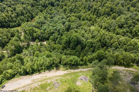 9 Lake Island Drive Belington WV 26250