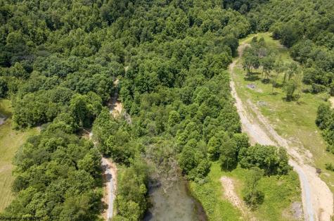 9 Lake Island Drive Belington WV 26250