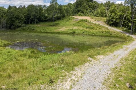 9 Lake Island Drive Belington WV 26250