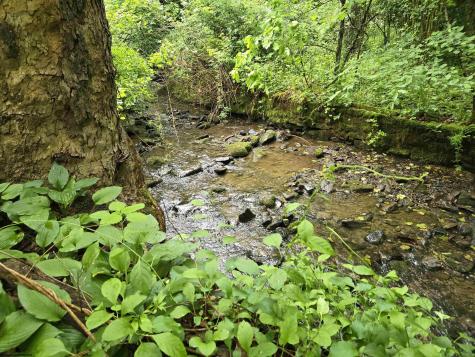 136 Birch Hollow Road Morgantown WV 26508