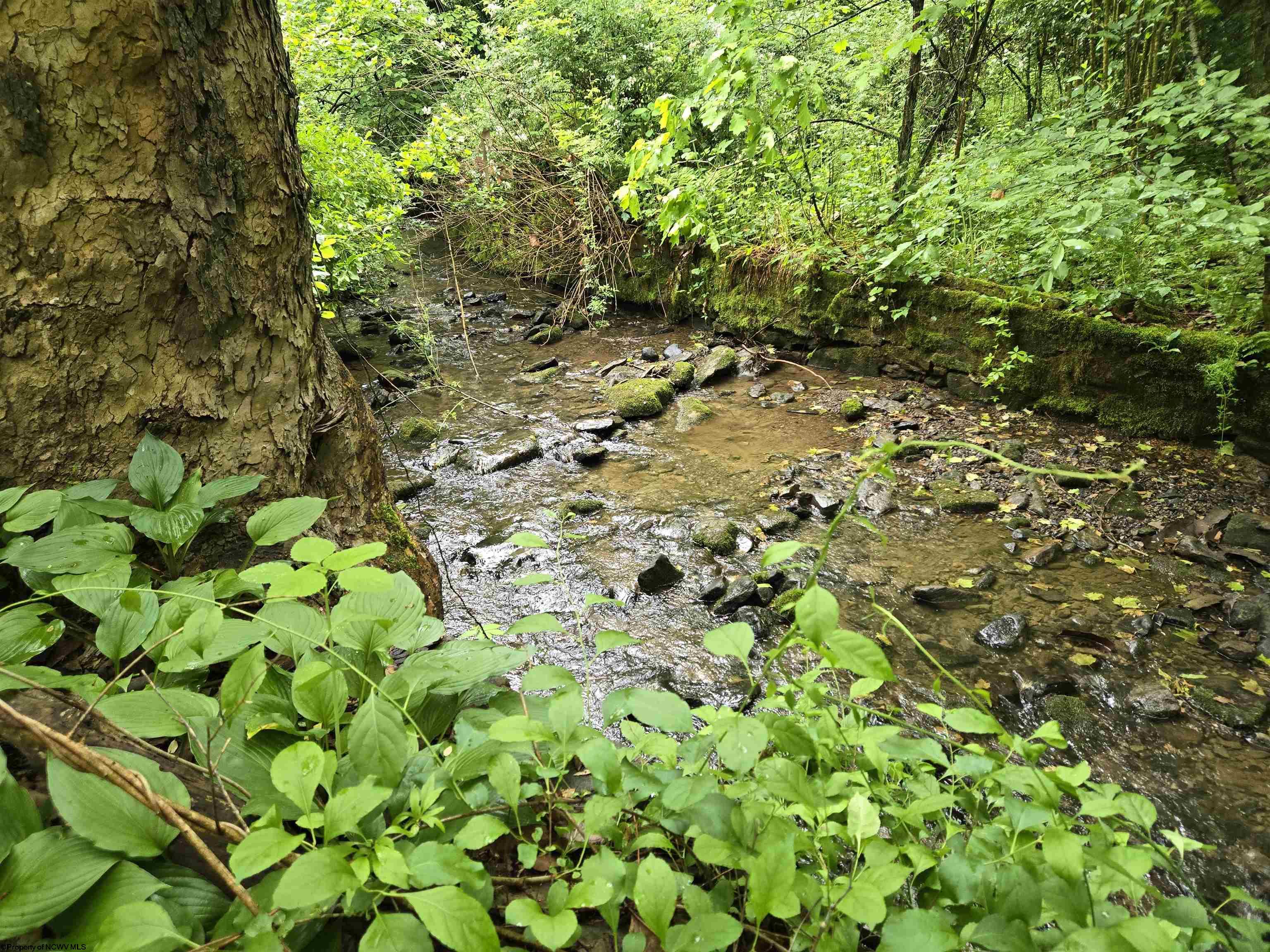 136 Birch Hollow Road Morgantown WV 26508