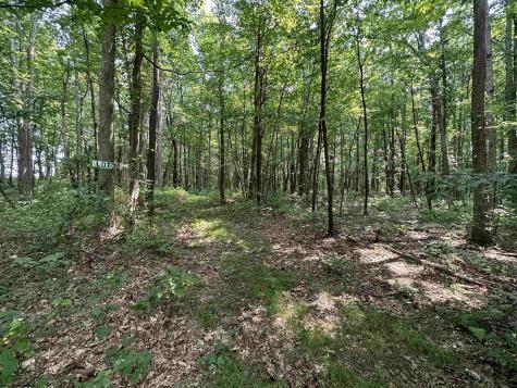32 Oak Drive Albright WV 26519