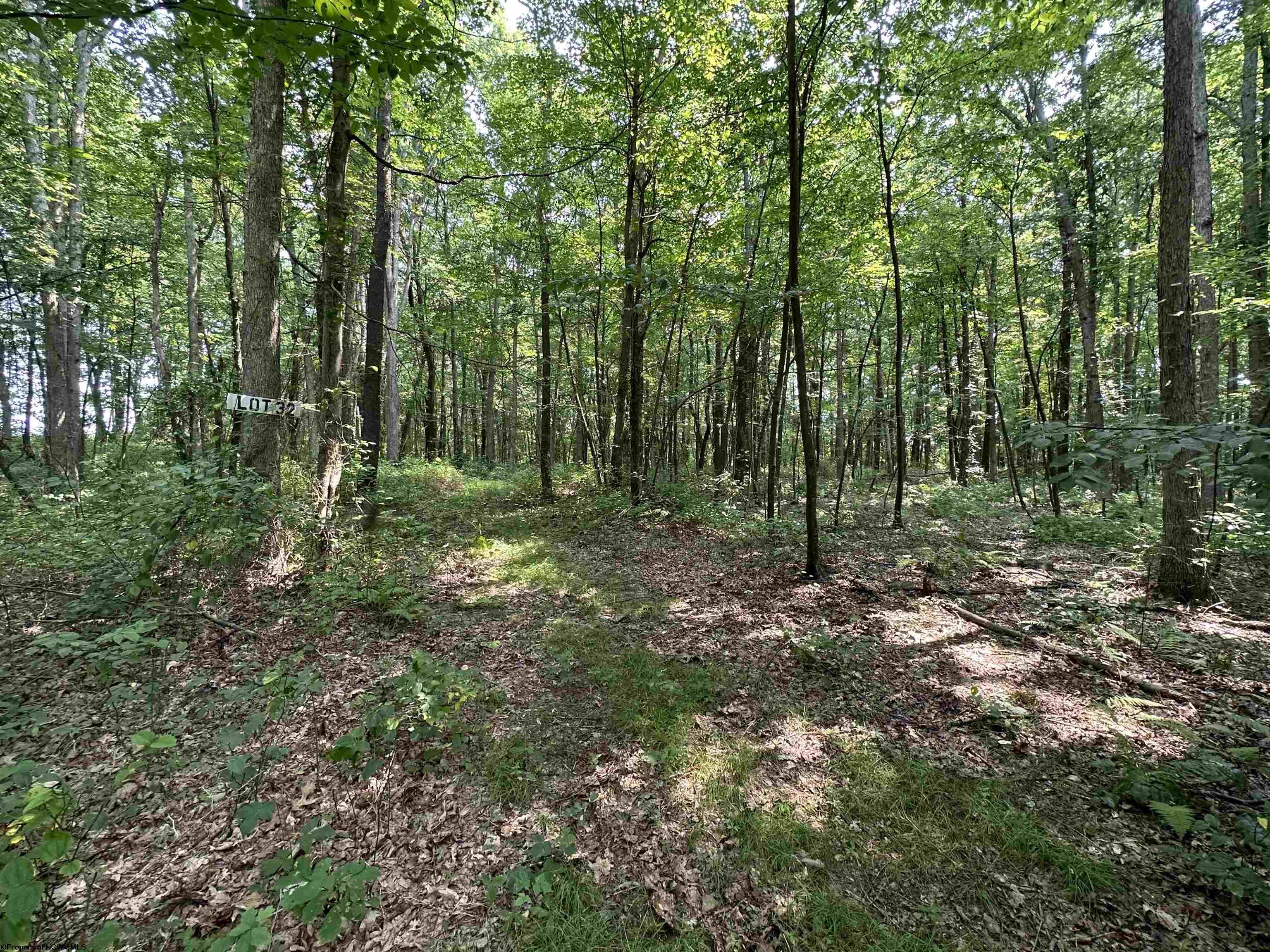 32 Oak Drive Albright WV 26519