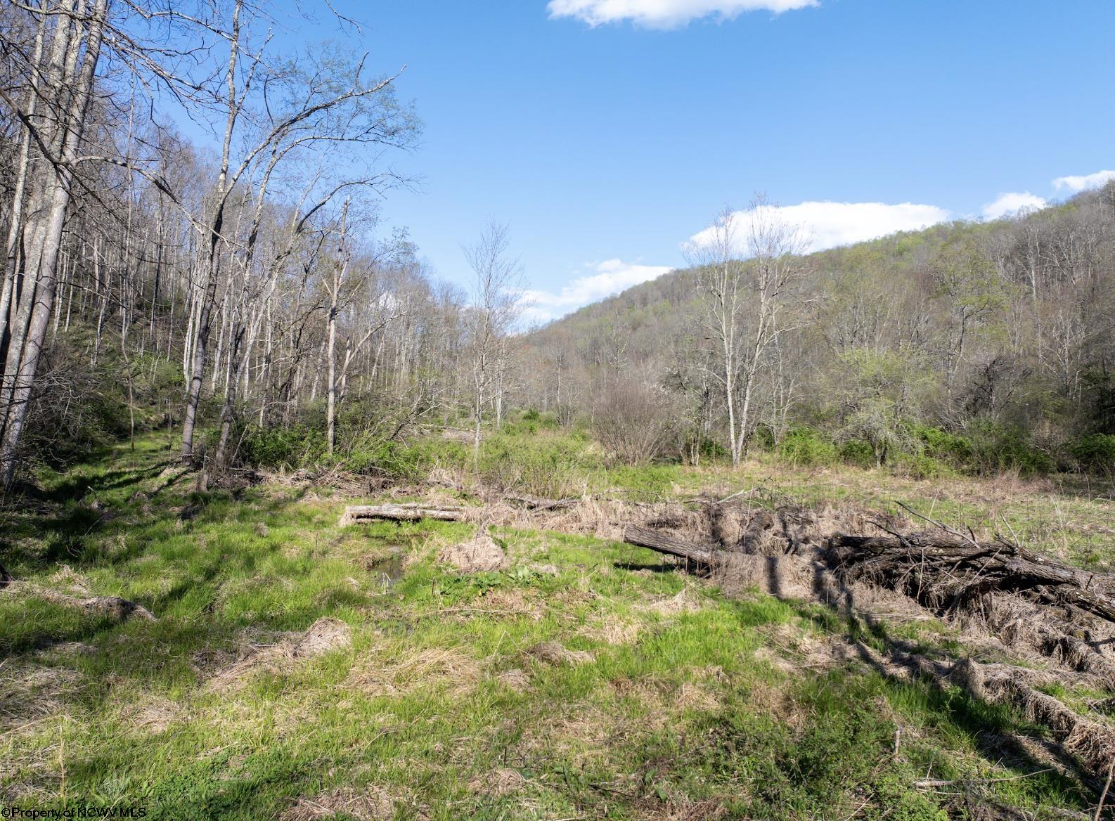 1 Squires Run Road Reedsville WV 26547