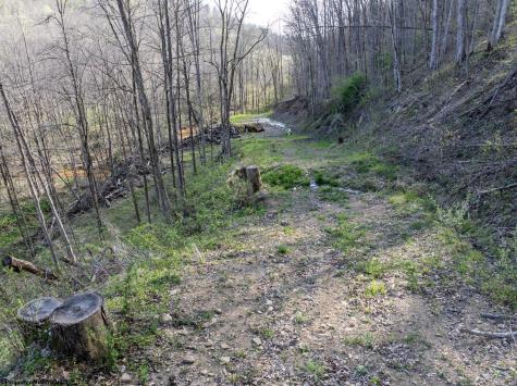 1 Squires Run Road Reedsville WV 26547