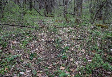1 Squires Run Road Reedsville WV 26547