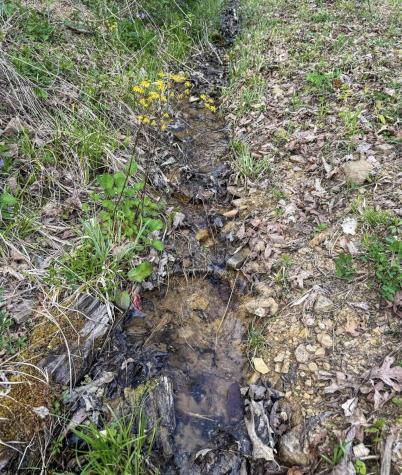 1 Squires Run Road Reedsville WV 26547
