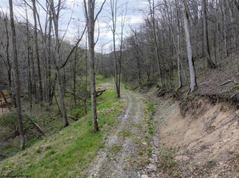 1 Squires Run Road Reedsville WV 26547