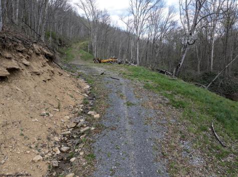 1 Squires Run Road Reedsville WV 26547