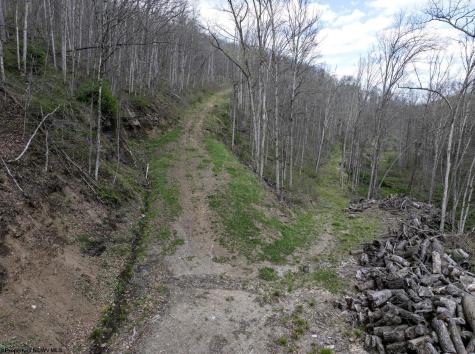 1 Squires Run Road Reedsville WV 26547