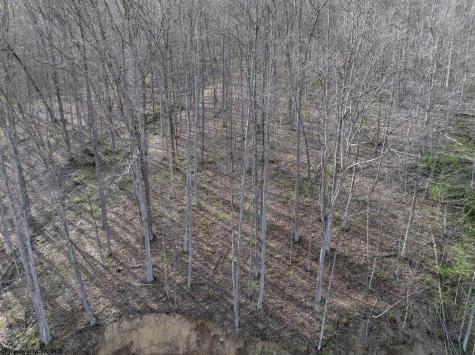 1 Squires Run Road Reedsville WV 26547
