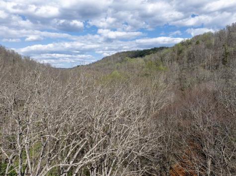 1 Squires Run Road Reedsville WV 26547