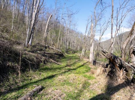 1 Squires Run Road Reedsville WV 26547