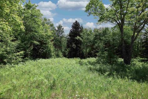 64 Venice Place Davis WV 26260