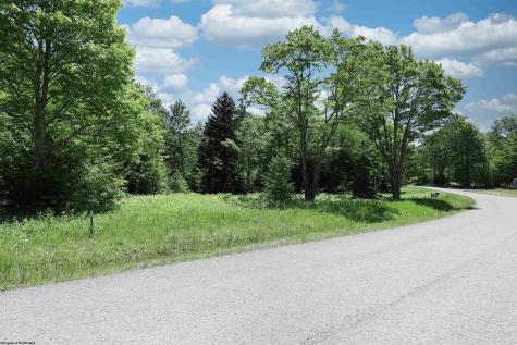 64 Venice Place Davis WV 26260