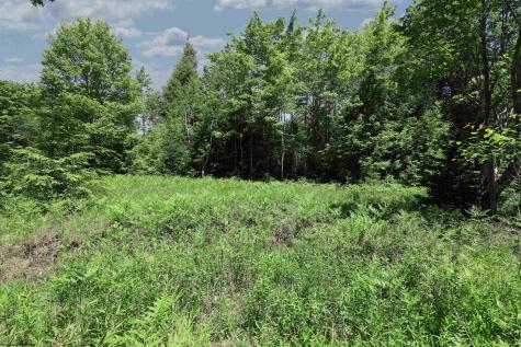 64 Venice Place Davis WV 26260