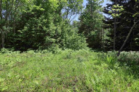64 Venice Place Davis WV 26260