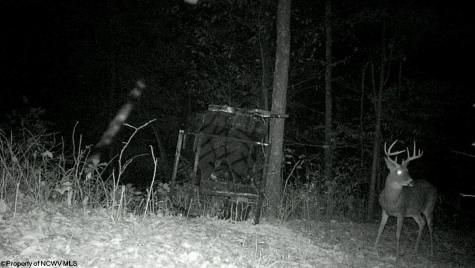 0 Keller Hill Road Belington WV 26260