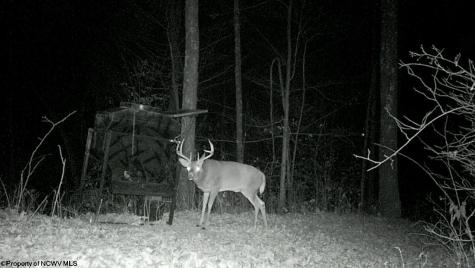 0 Keller Hill Road Belington WV 26260