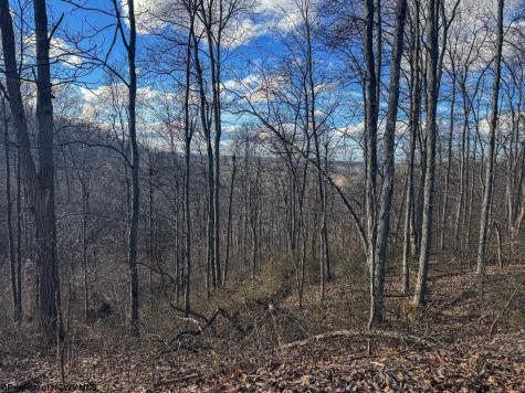 0 Keller Hill Road Belington WV 26260