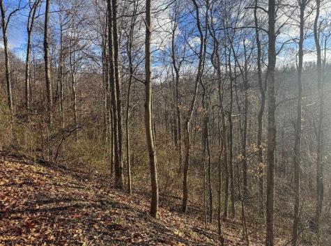 0 Keller Hill Road Belington WV 26260