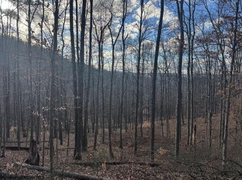 0 Keller Hill Road Belington WV 26260